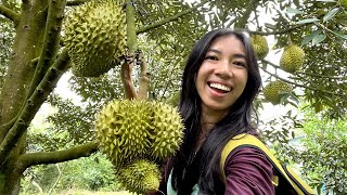 Exotic Tropical Orchard Tour (Cái Bè Vietnam) by Wendi Phan 1,354 views 5 months ago 13 minutes, 1 second