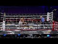 Boxing Jonathan Steele vs Enriko Gogokhia
