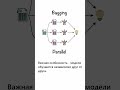 Кратко об ансамблевом обучении #education #machinelearning