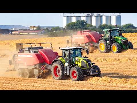 Strohbergung 2026 | Massey Ferguson 2190 + 2290 am Strohpressen | John Deere, Claas, JCB