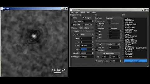 Real-time rendering of Gabor holograms of 1.5 micron latex beads