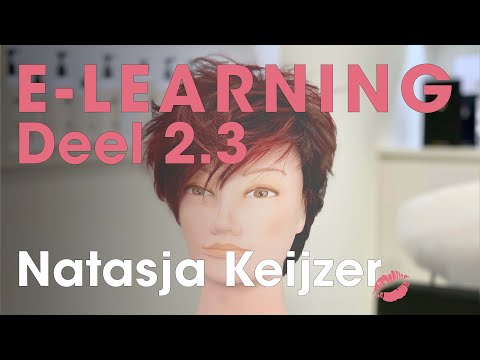 E-Learning Deel 2.3 Pixie haircut , Triangle Highlights by Natasja Keijzer