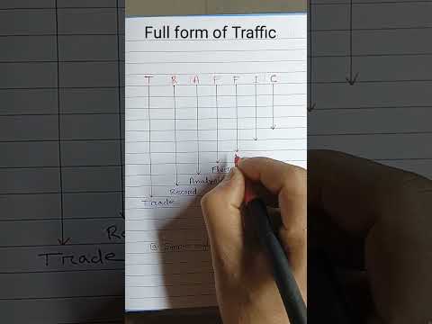 the full meaning of traffic