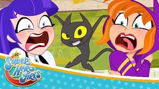 #Bat&Switch | Trailer | DC Super Hero Girls: Super Shorts