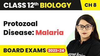 Protozoal Disease: Malaria - Human Health & Disease | Class 12 Biology Chapter 8 (2022-23) screenshot 3