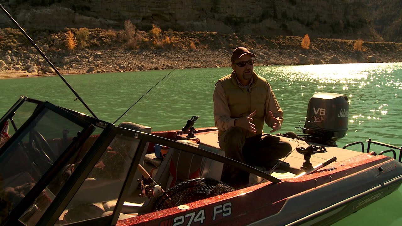 huntington beach california How to Catch and Release Tiger Muskie