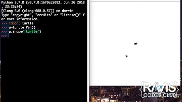Python Tutorial Video on Turtle Basics Part 1 for kids ages 10 and above