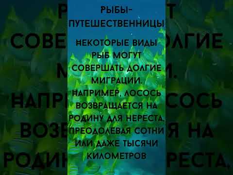 3 факта о