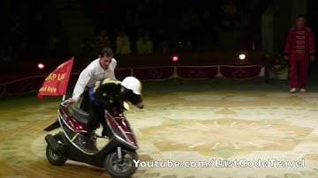 Rạp Xiếc Trung Ương Hà Nội circus
