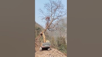 Epic Tree Removal with Heavy Machinery! 🌳🚜 #Shorts