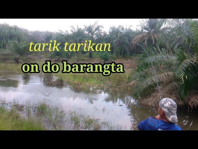 MANCING DISPOT BANJIRAN||PREDATORNYA HAMPIR MENYERET JORANKU😱 #bayopalas #mancinggabus #casting class=