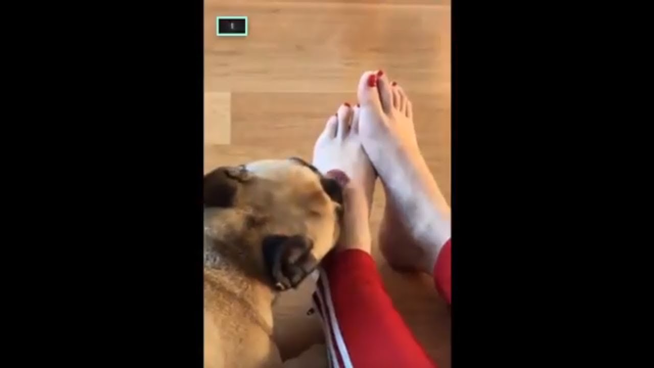 MATILDA LECCA I PIEDI DI CHIARA FERRAGNI YouTube