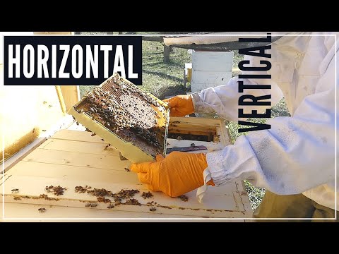 How Did Horizontal Beehive Do in Winter?