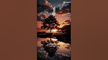 #الشيخ ياسر الدوسري #تلاوة_خاشعة #اكسبلور #لايك فضلا وليس امرا