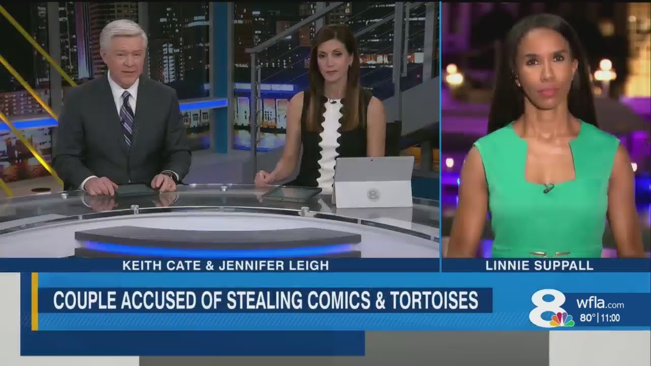 St. Petersburg couple accused of stealing comics and tortoises - YouTube