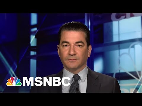 Former FDA Commissioner Dr. Scott Gottlieb Talks Return To Normal Life | Stephanie Ruhle | MSNBC