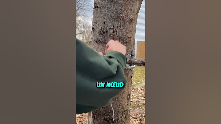 Cet Homme a Créé la Meilleure Invention 🌲
