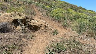 Rebuilding the Trail + Adding a New Line