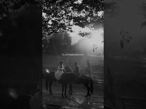 Где-то на земле