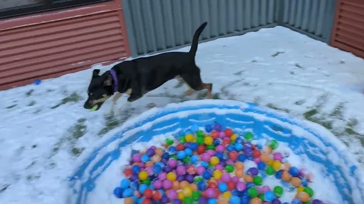 Cool Maxine Having a Ball