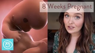 8 Weeks Pregnant: What You Need To Know - Channel Mum