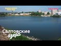 Оазисы природы Салтовского жилмассива в городе Харьков!