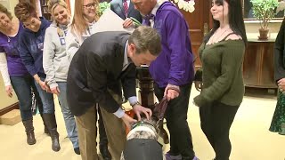 Ethan the dog honored by Gov. Beshear at Kentucky State Capitol