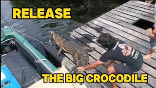 Release The Big Crocodile