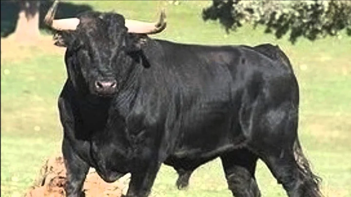 The Lonely Bull. Herb Alpert & the Tijuana Brass. ...