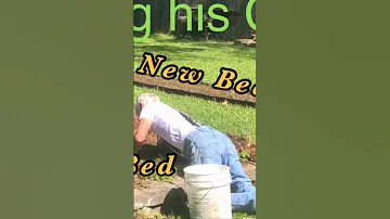 Mind BLWN Gardening Pawpawsammy Growyourownfood Shorts Shortvideo Family PawpawSammyAlyBug 