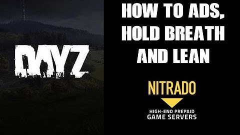 DayZ Beginners Guide: How To ADS Aim Down Sights, Hold Breath, Lean & Switch Irons Sights & Scope