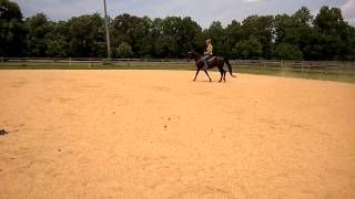WP 20140709 001