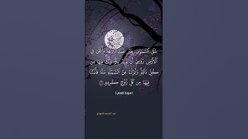 #تلاوة_خاشعة #اكسبلور #quran #راحة_نفسية #لايك #قرآن #دويتو #حالات_واتس #duet #تيك_توك
