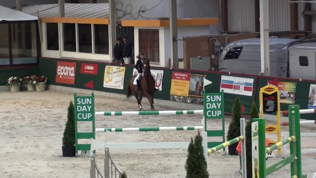 CS Oberriet 125 cm Sultan d' Helby