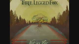 Video thumbnail of "Three Legged Fox - Maybe I'm Sorry | Reggae/Rock Music"