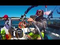 Sailing Vancouver Island Part 1