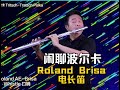 闲聊波尔卡 Tritsch Tratsch Polka-Roland Brisa电长笛【安颐爸爸音乐会】