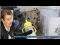 Л.В.Лоскутова о сроках поездки в Волгоград и ближайших планах