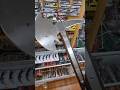 CAS German Gothic Axe XB2077  #fyp #medieval #europe #canada #yyj #canada #sca #axe #iberia #hanwei