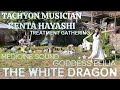 The White Dragon 432Hz Live@Treatment Gathering by Tachyon Musician KENTA HAYASHI & Goddess Elilia