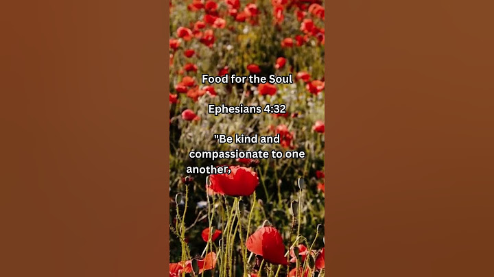 Choose Kindness and Forgiveness Today