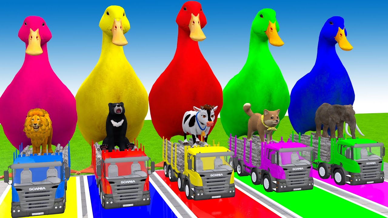 Long Slide Game With Cow Elephant Gorilla Hippopotamus Tiger 3d Animal Game Funny 3d Animals