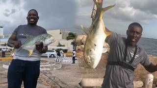 Instant Bite On A Free Bait.