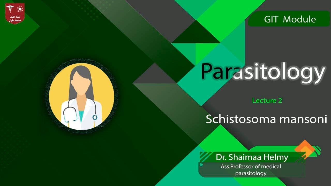 2 Schistosoma mansoni