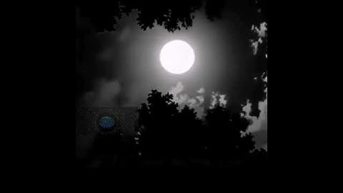 ياسر الدوسري  /قرآن كريم 💗/مقاطع قصيرة/حالات واتساب/تلاوة عطرة