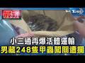 小三通再爆活體運輸 男藏248隻甲蟲闖關遭攔｜TVBS新聞 @TVBSNEWS01