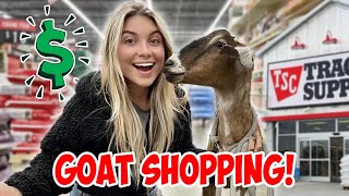 I brought my pet GOAT to the Store & Bought EVERYTHING she Touched!