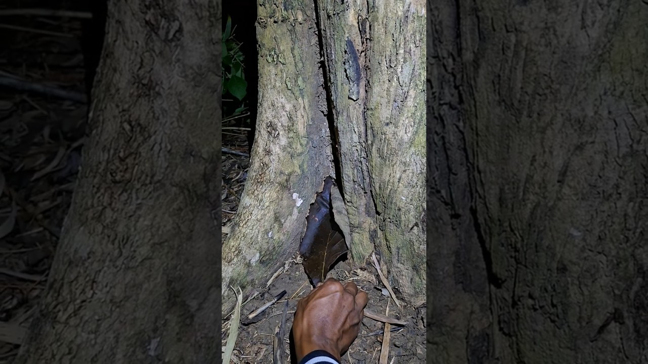 It looks like there's a strange animal behind the leaves 