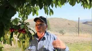 Grower Profile: Ron Moon