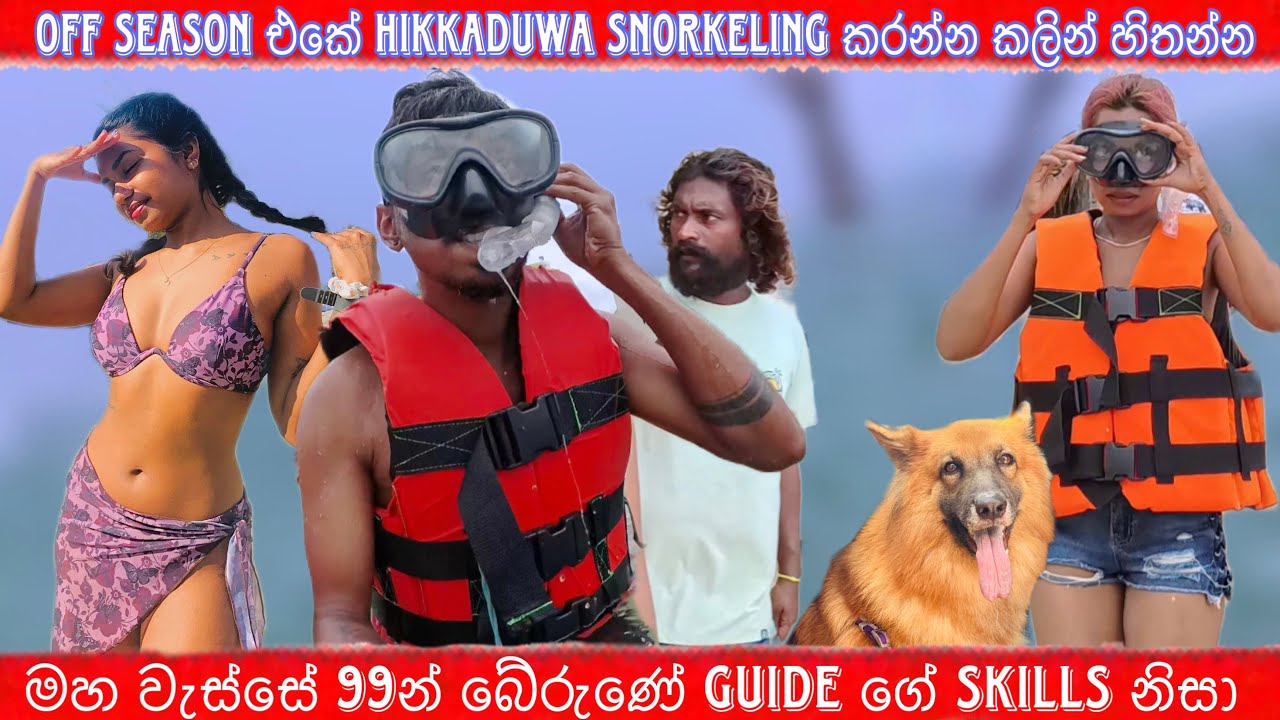 𝙊𝙁𝙁 𝙎𝙀𝘼𝙎𝙊𝙉 එකේ 𝘿𝙊𝙒𝙉𝙎𝙊𝙐𝙏𝙃 යන්න එපා❗️𝚂𝙽𝙾𝚁𝙺𝙴𝙻𝙸𝙽𝙶 𝙸𝙽 𝙷𝙸𝙺𝙺𝙰𝙳𝚄𝚆𝙰|𝚃𝚄𝚁𝚃𝙻𝙴 𝙷𝙰𝚃𝙲𝙷𝙴𝚁𝚈 𝙱𝙾𝙾𝚂𝚂𝙰 #srilanka #travel